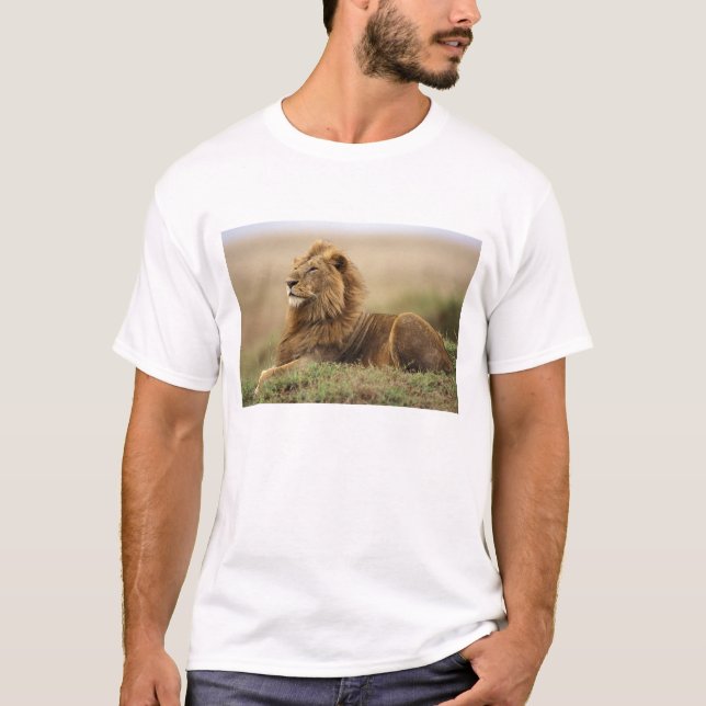 Kenya, Masai Mara | Male Lion T-Shirt (Front)
