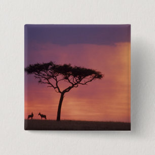 Kenya: Masai Mara National Park, Sunset. 15 Cm Square Badge
