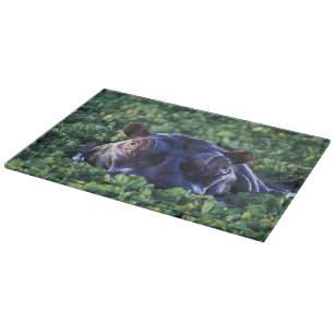 Kenya, Masai Mara National Reserve. Cutting Board