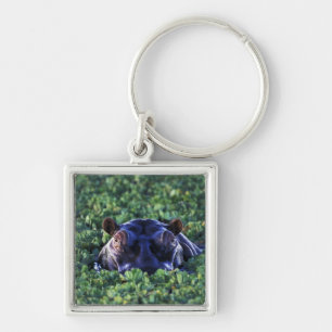 Kenya, Masai Mara National Reserve. Key Ring