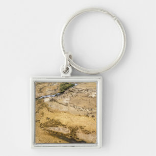 Kenya: Masai Mara National Reserve, Mara Key Ring