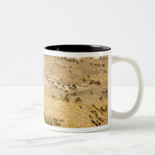 Kenya: Masai Mara National Reserve, Mara Two-Tone Coffee Mug