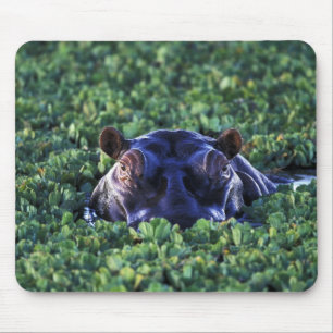 Kenya, Masai Mara National Reserve. Mouse Pad