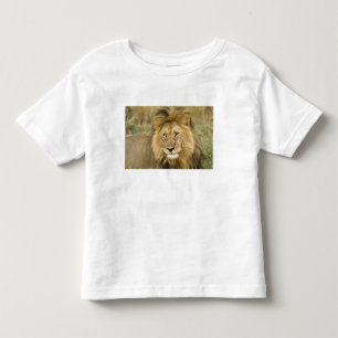 Kenya Masai Mara Toddler T-Shirt