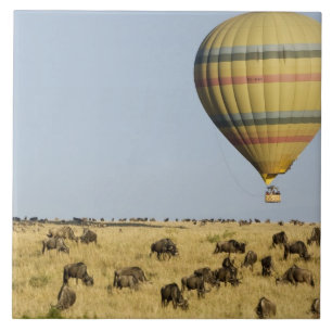 Kenya, Masai Mara. Tourists ride hot air balloon Ceramic Tile