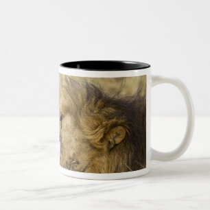 Kenya, Masai Mara Two-Tone Coffee Mug