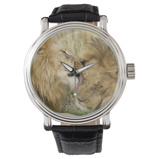 Kenya, Masai Mara Watch (Front)