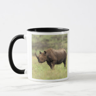 Kenya, Nairobi National Park. Black Rhinoceros Mug