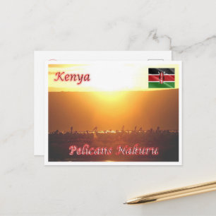 Kenya - Pelicans Nakuru - Postcard