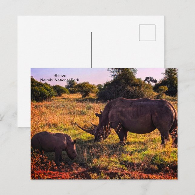 Kenya Postcard (Front/Back)