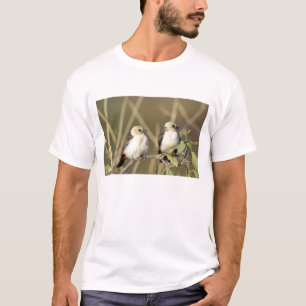 Kenya, Samburu National Reserve T-Shirt