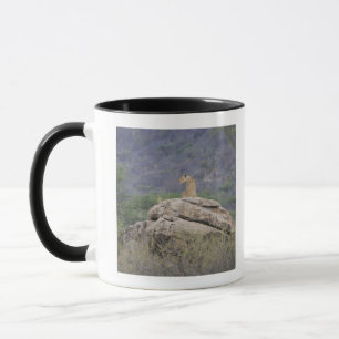 Kenya, Samburu Nature Reserve, female lion on Mug