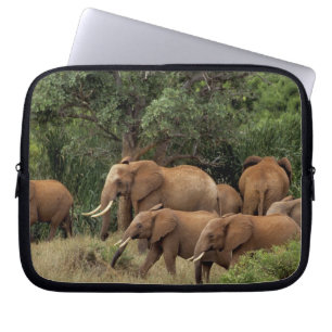 Kenya: Tsavo East National Park, herd African Laptop Sleeve