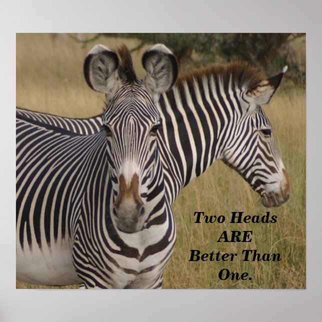 KENYA Zebras Two Heads are Better than One poster (Front)