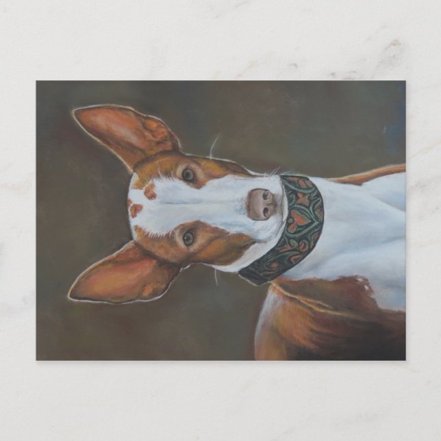 Kenzie the Ibizan Hound Dog Art Postcard (Front)