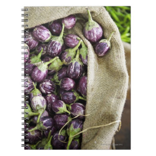 Kerelan Eggplant Notebook