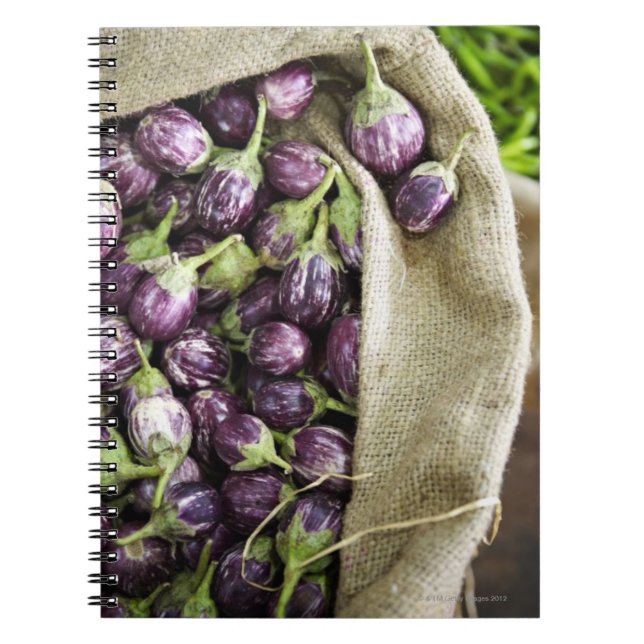 Kerelan Eggplant Notebook (Front)