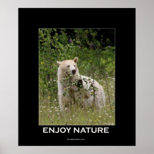 Kermode Bear Motivational Poster