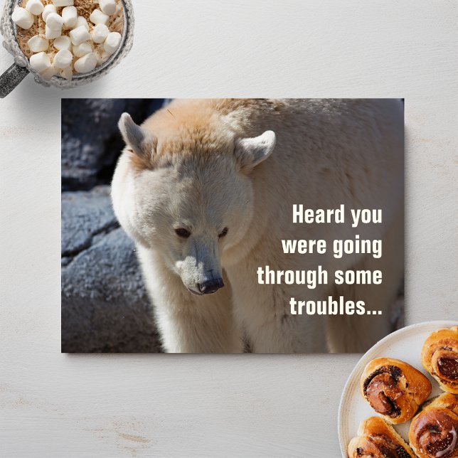 Kermode Bear•Troubles Postcard (Creator Uploaded)