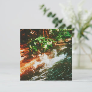 Kerosene Creek Hot Spring