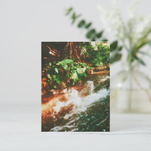 Kerosene Creek, Rotorua, New Zealand Postcard