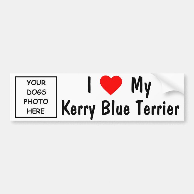 Kerry Blue Terrier Bumper Sticker (Front)