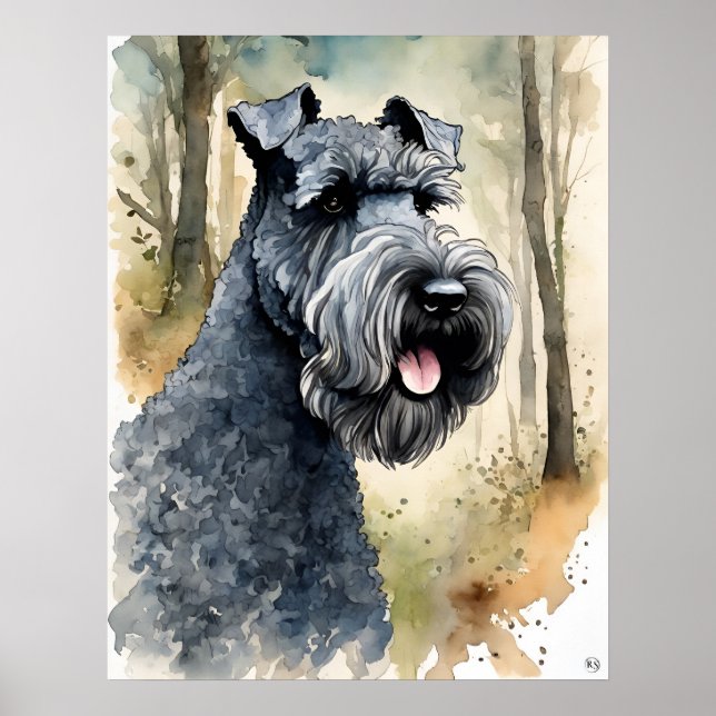 Kerry Blue Terrier - Dog Art Print (Front)