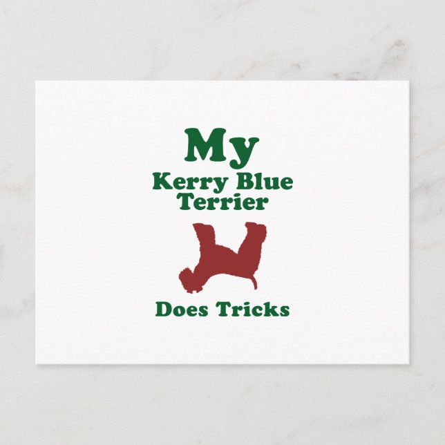 Kerry Blue Terrier Postcard (Front)