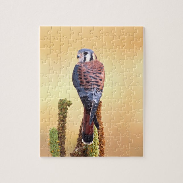Kestrel, Falco sparverius, Native to US & Canada Jigsaw Puzzle (Vertical)