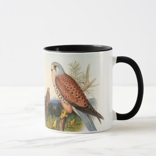 Kestrel Falcon John Gould Birds of Great Britain Mug (Right)