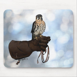 Kestrel on Glove Illustration Mouse Pad