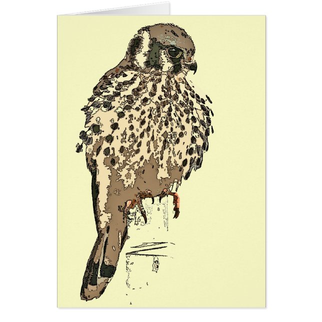 Kestrel Raptor Bird Card (Front)