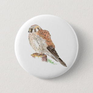 Kestrel Sparrow Hawk, Watercolor Bird 6 Cm Round Badge