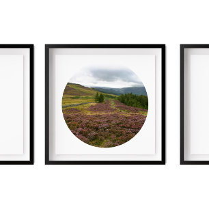 Keswick Lake District Hike Fields of Heather Photo Poster