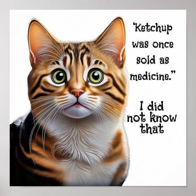 Ketchup sold as medicine  poster (Front)
