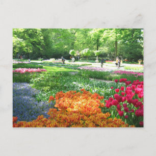 Keukenhof garden - Holland postcard