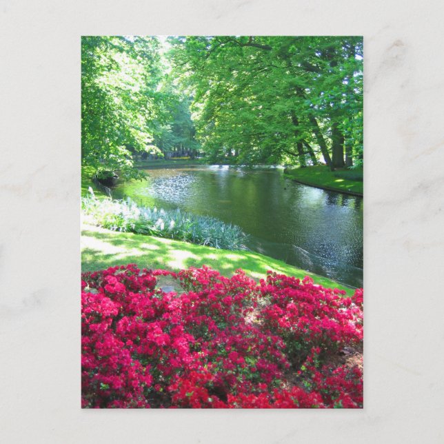 Keukenhof garden - Holland postcard (Front)