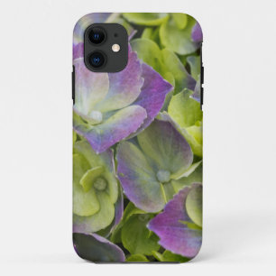 Keukenhof Garden Hydrangea iPhone 11 Case