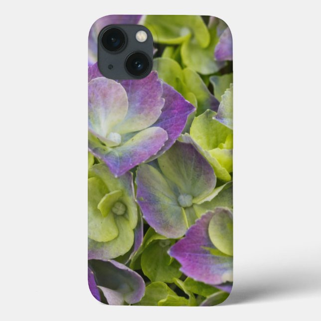 Keukenhof Garden Hydrangea Case-Mate iPhone Case (Back)