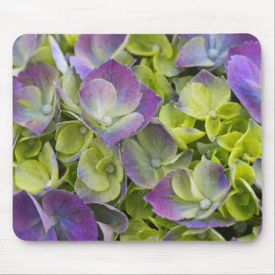 Keukenhof Garden Hydrangea Mouse Pad
