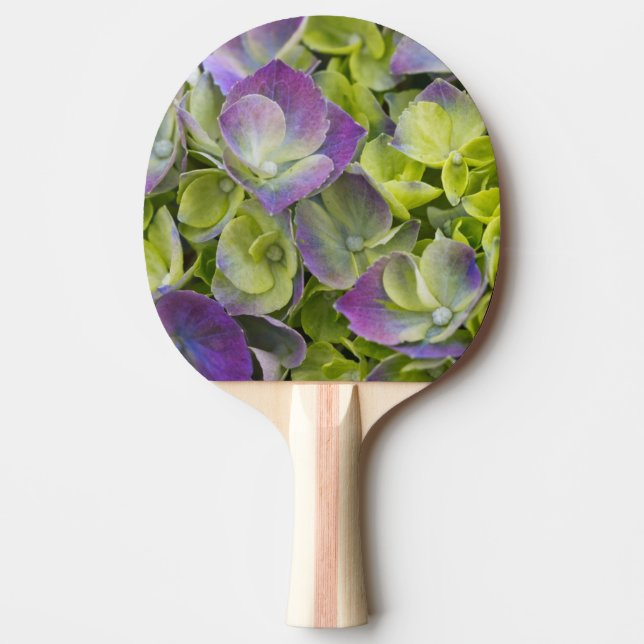 Keukenhof Garden Hydrangea Ping Pong Paddle (Front)