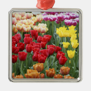 Keukenhof Gardens, Holland, specialises in 2 Metal Ornament