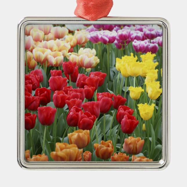 Keukenhof Gardens, Holland, specialises in 2 Metal Ornament (Front)