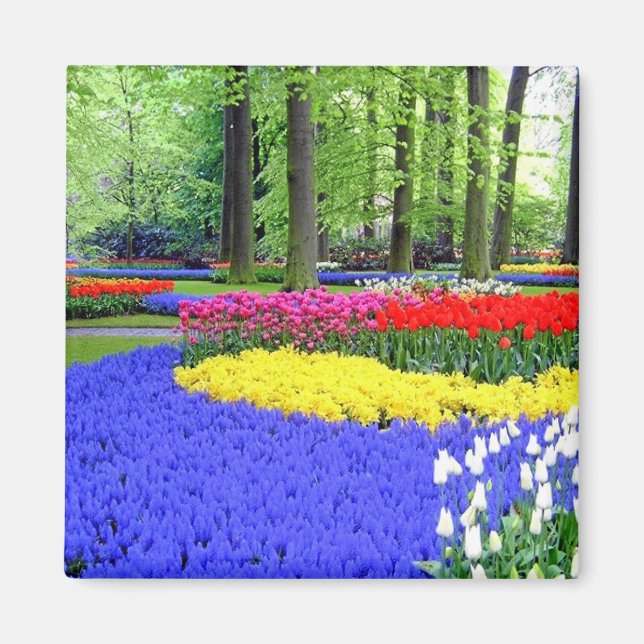 KEUKENHOF GARDENS, LISSE HOLLAND MAGNET (Front)