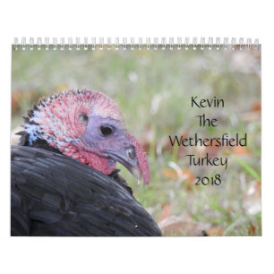 Kevin The Turkey - Old Wethersfield , CT Calendar