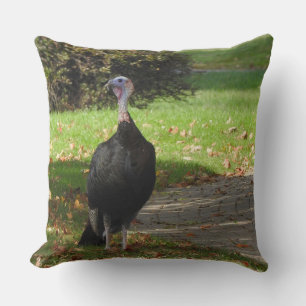Kevin The Turkey - Old Wethersfield , CT Cushion
