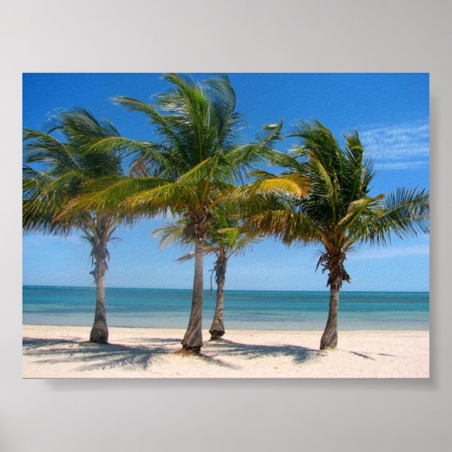 Key Biscayne palms Poster (Front)