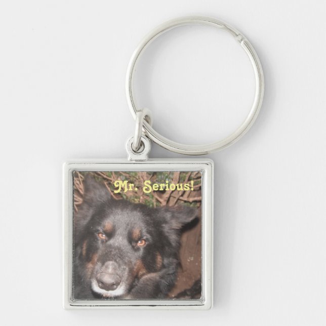 Key Chain Husky Collie Cross (Front)