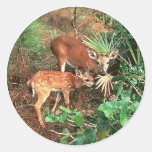 Key Deer Classic Round Sticker