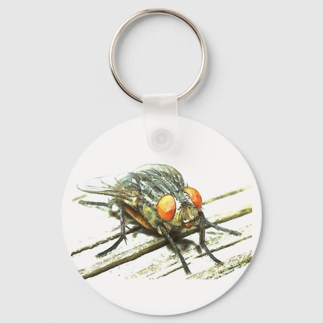 Key fly ring (Front)